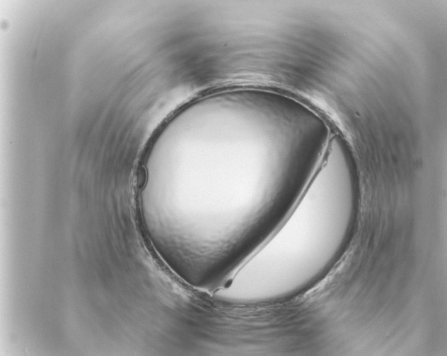 X0000088621325200706221446