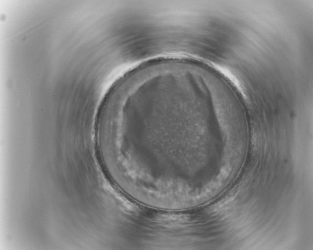 X0000088621327200706221446