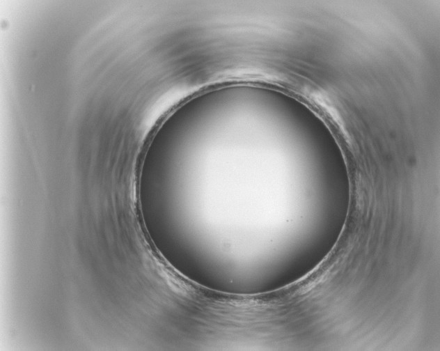 X0000088621328200706221446