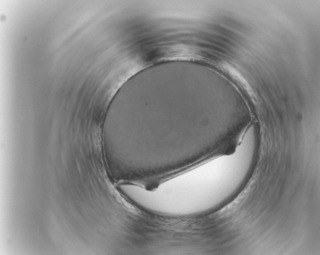 X0000088621329200706221446