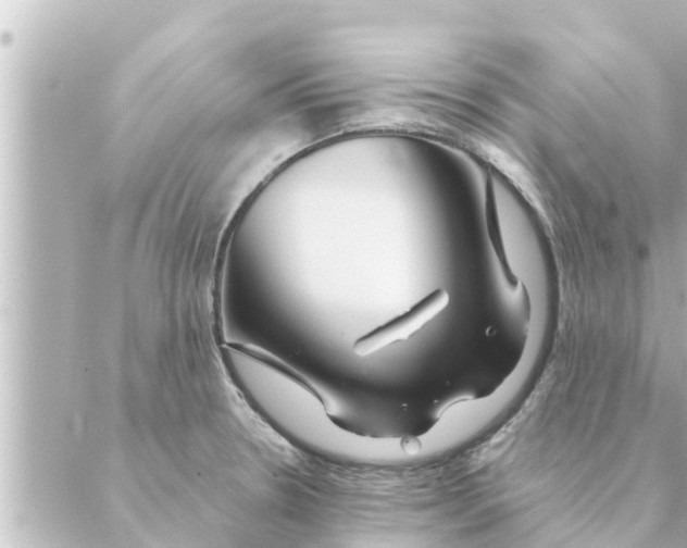 X0000088621330200706221446