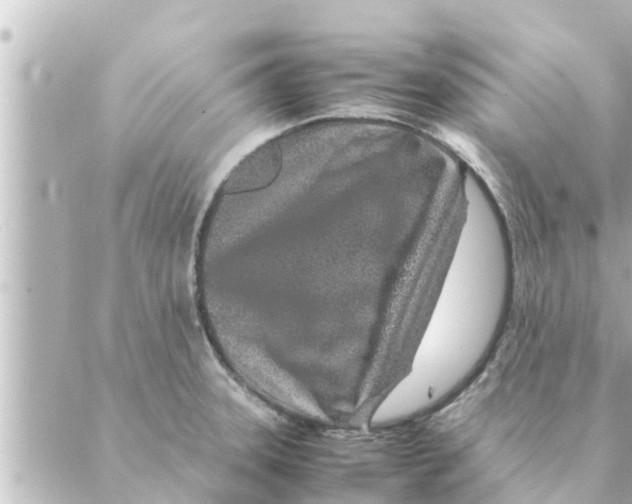 X0000088621331200706221446