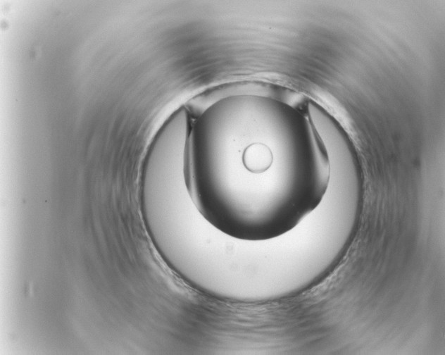 X0000088621332200706221446