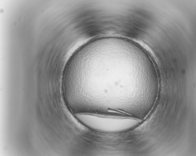 X0000088621333200706221446