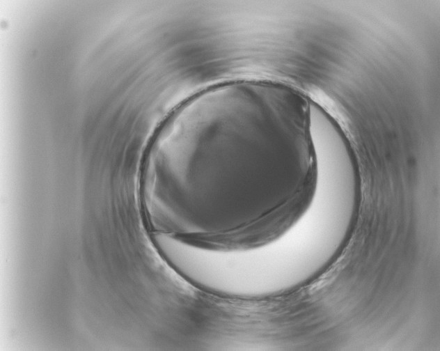 X0000088621334200706221446