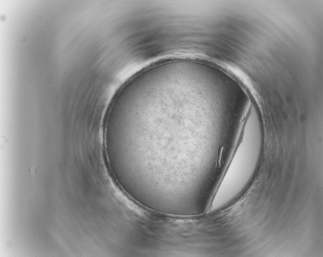 X0000088621335200706221446