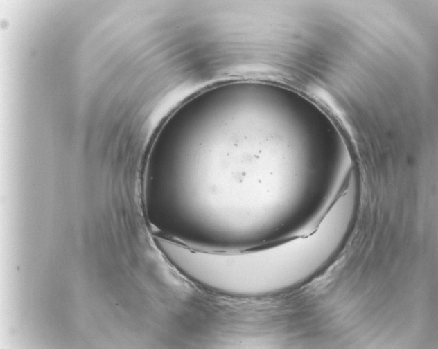 X0000088621336200706221446