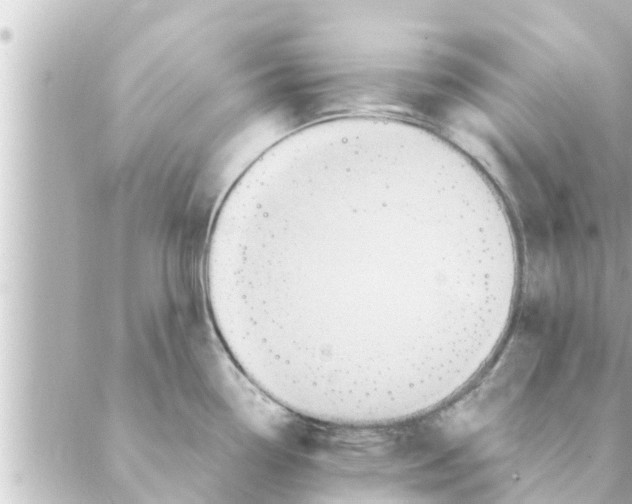 X0000088621338200706221446