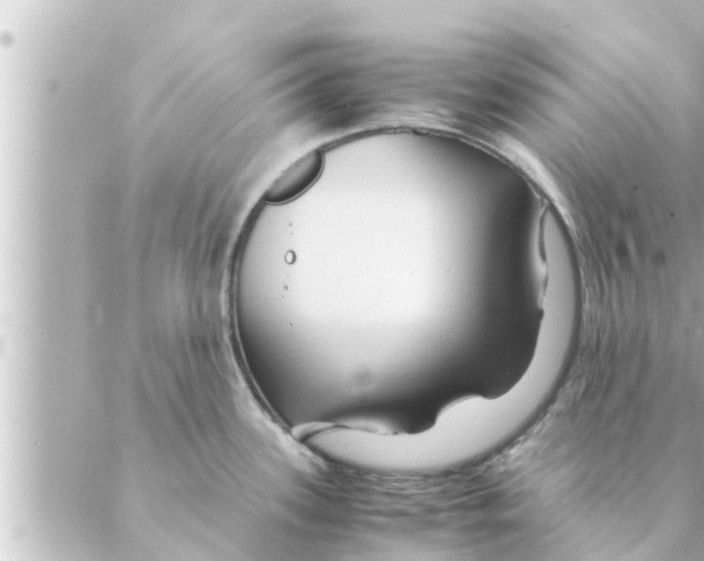 X0000088621339200706221446