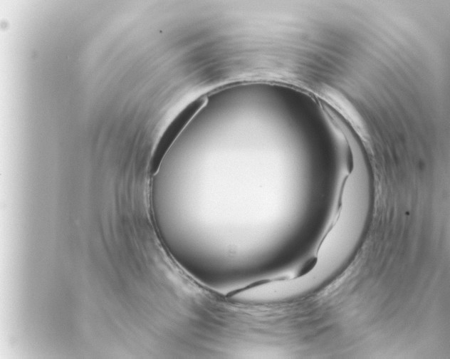 X0000088621340200706221446