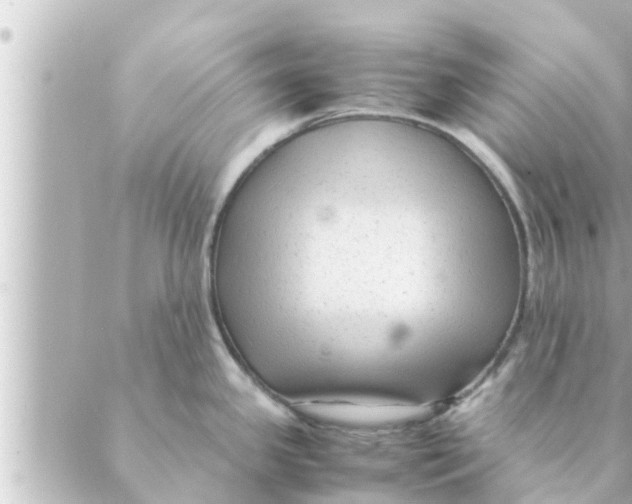 X0000088621341200706221446