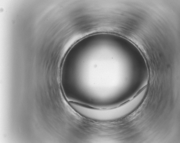 X0000088621342200706221446