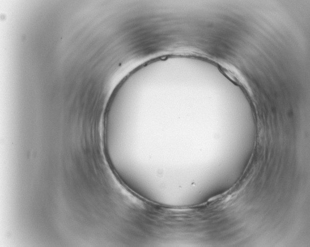 X0000088621343200706221446