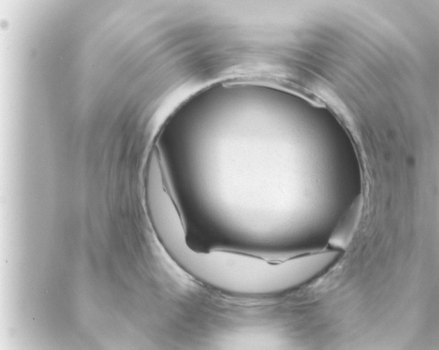 X0000088621344200706221446