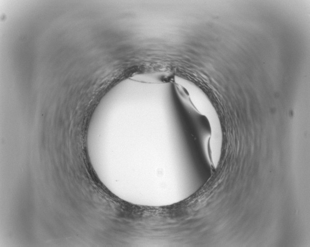 X0000088621345200706221445