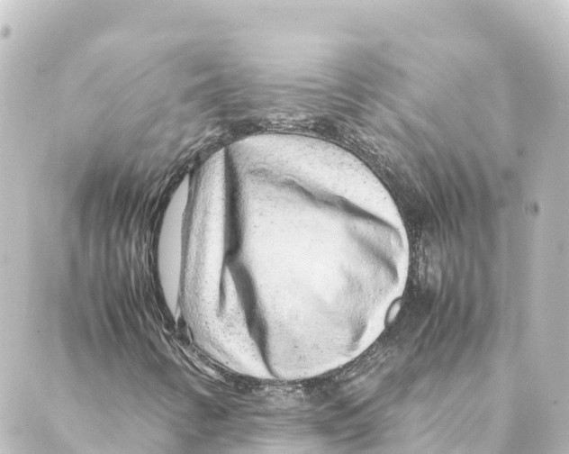 X0000088621346200706221445