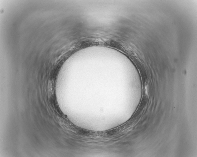 X0000088621347200706221445