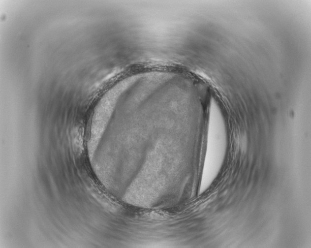 X0000088621348200706221445