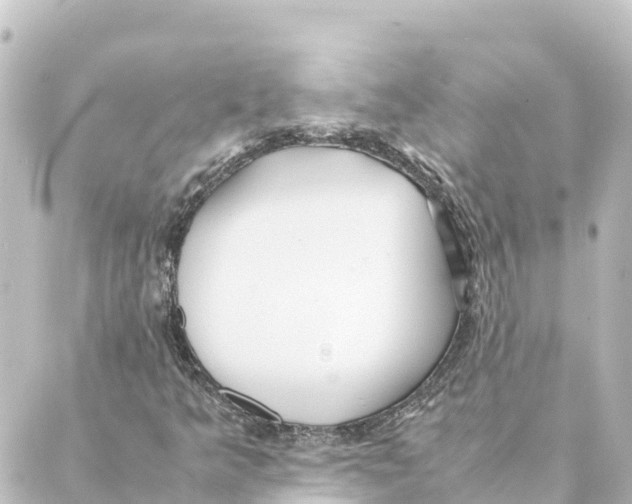 X0000088621349200706221445