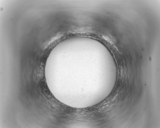 X0000088621350200706221445