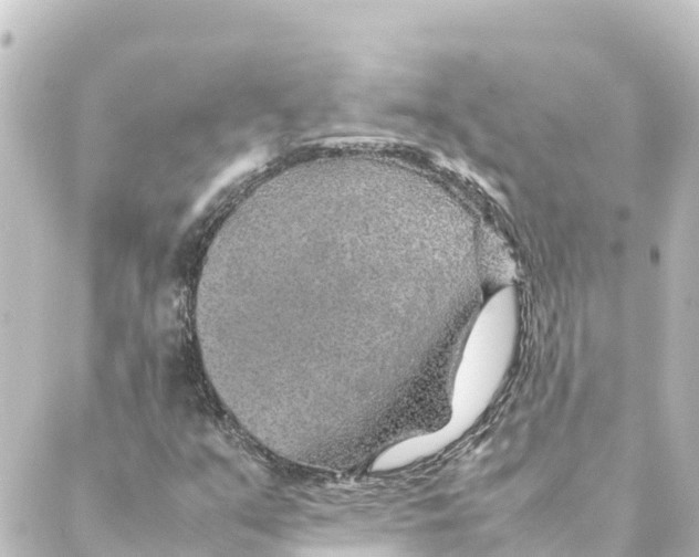 X0000088621351200706221445