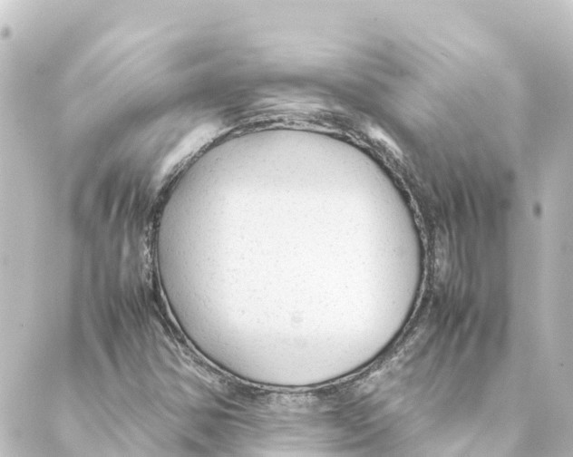 X0000088621354200706221445