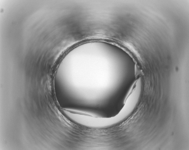 X0000088621356200706221445