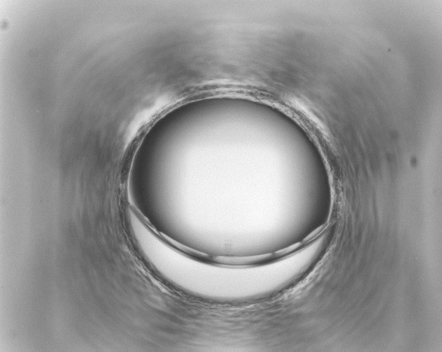 X0000088621357200706221445