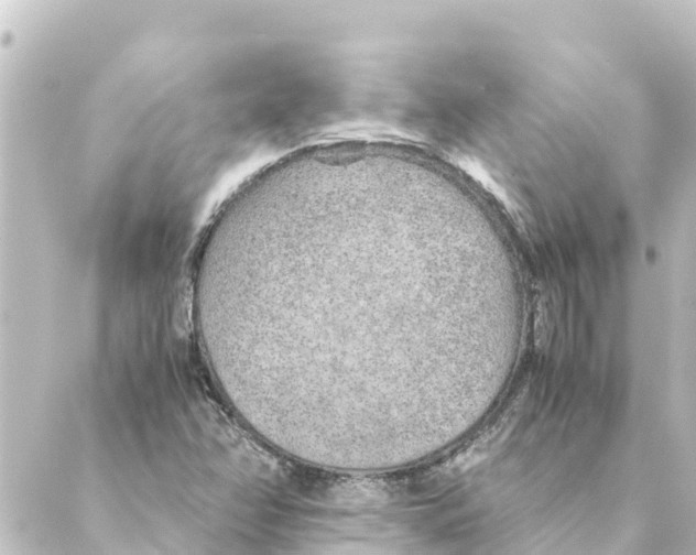 X0000088621358200706221445