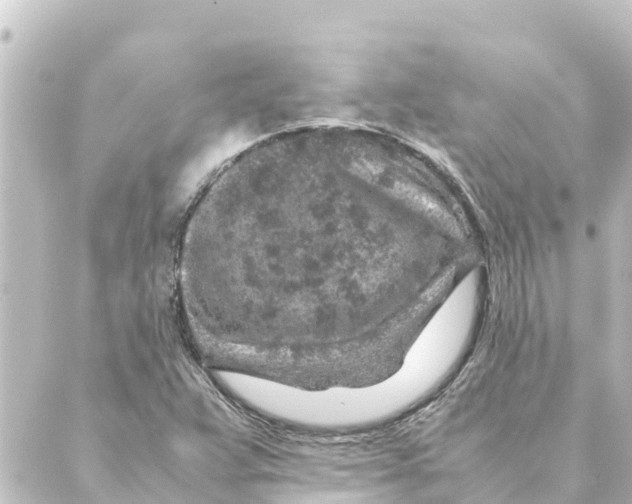 X0000088621359200706221445