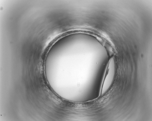 X0000088621360200706221445