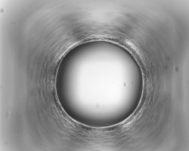 X0000088621361200706221445