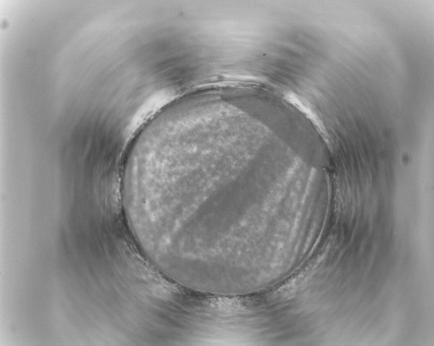 X0000088621362200706221445