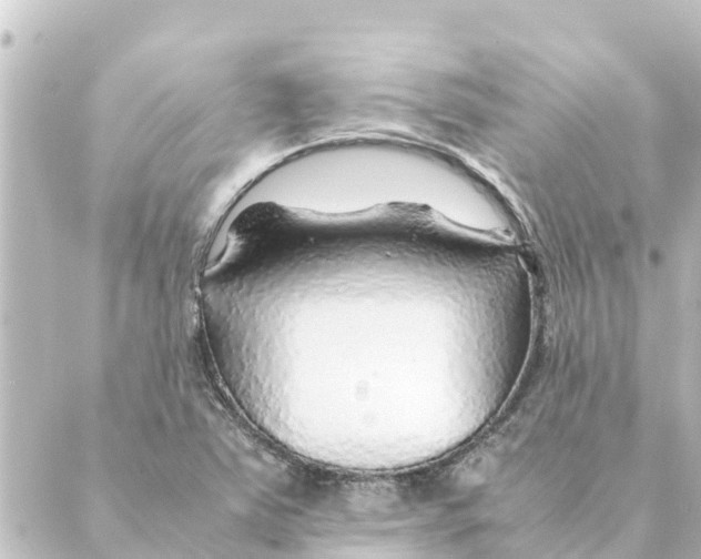 X0000088621363200706221445