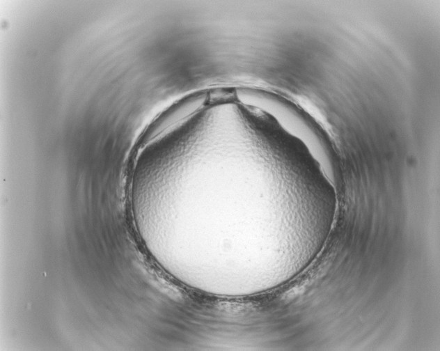 X0000088621364200706221445