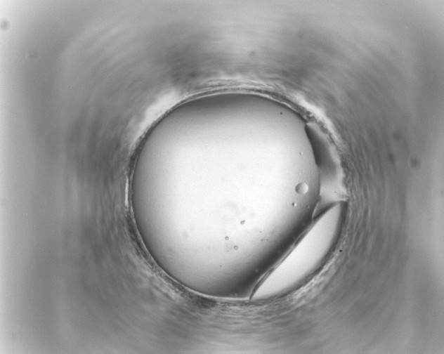 X0000088621365200706221445