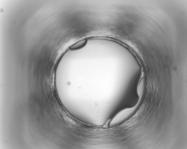 X0000088621366200706221445