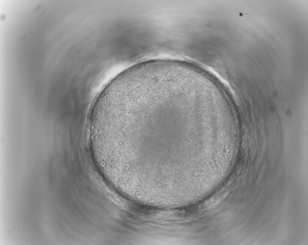 X0000088621367200706221445