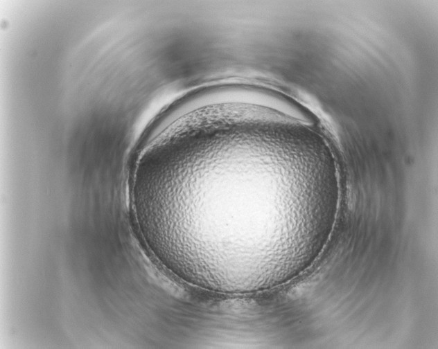 X0000088621368200706221445