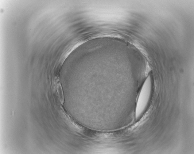 X0000088621369200706221445