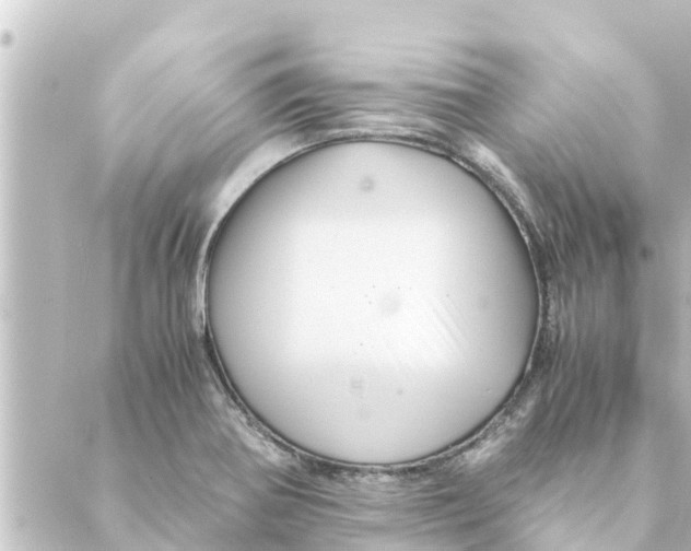 X0000088621370200706221445