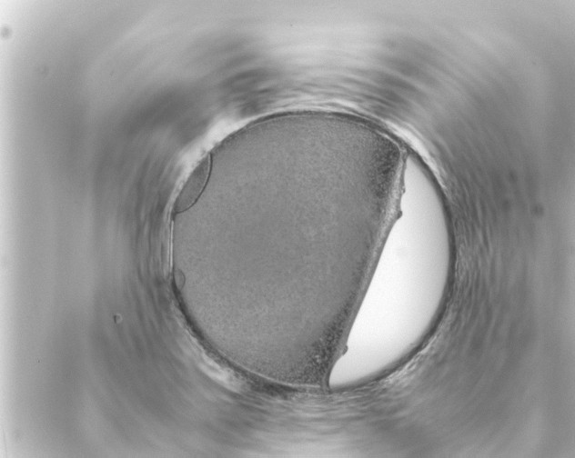 X0000088621371200706221445