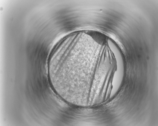 X0000088621372200706221445