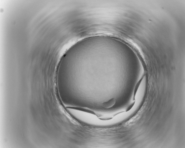 X0000088621373200706221445