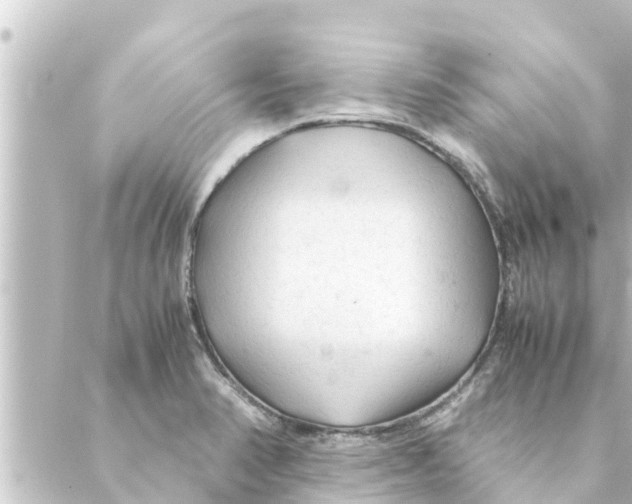 X0000088621374200706221445