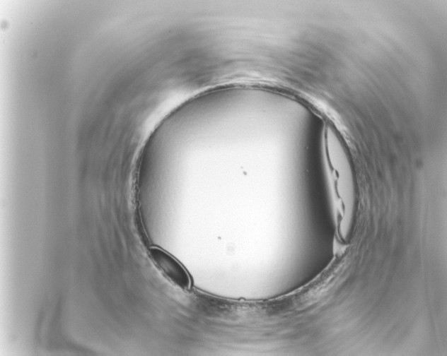 X0000088621375200706221445