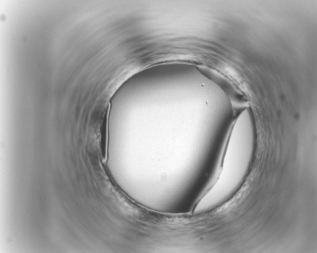 X0000088621377200706221445