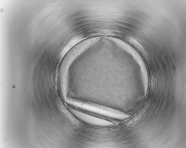 X0000088621378200706221445