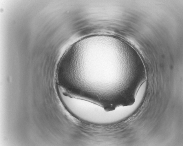 X0000088621379200706221445