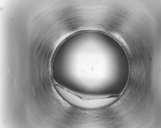 X0000088621380200706221445